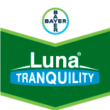 LUNA TRANQUILITY SC500